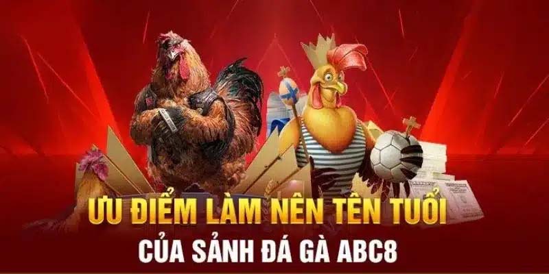 Ưu điểm sảnh đá gà ABC8